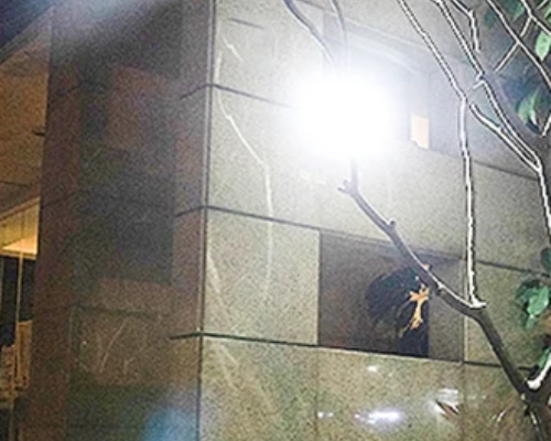 Solar Outdoor Lights